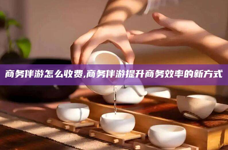 荣成商务伴游怎么收费,商务伴游提升商务效率的新方式